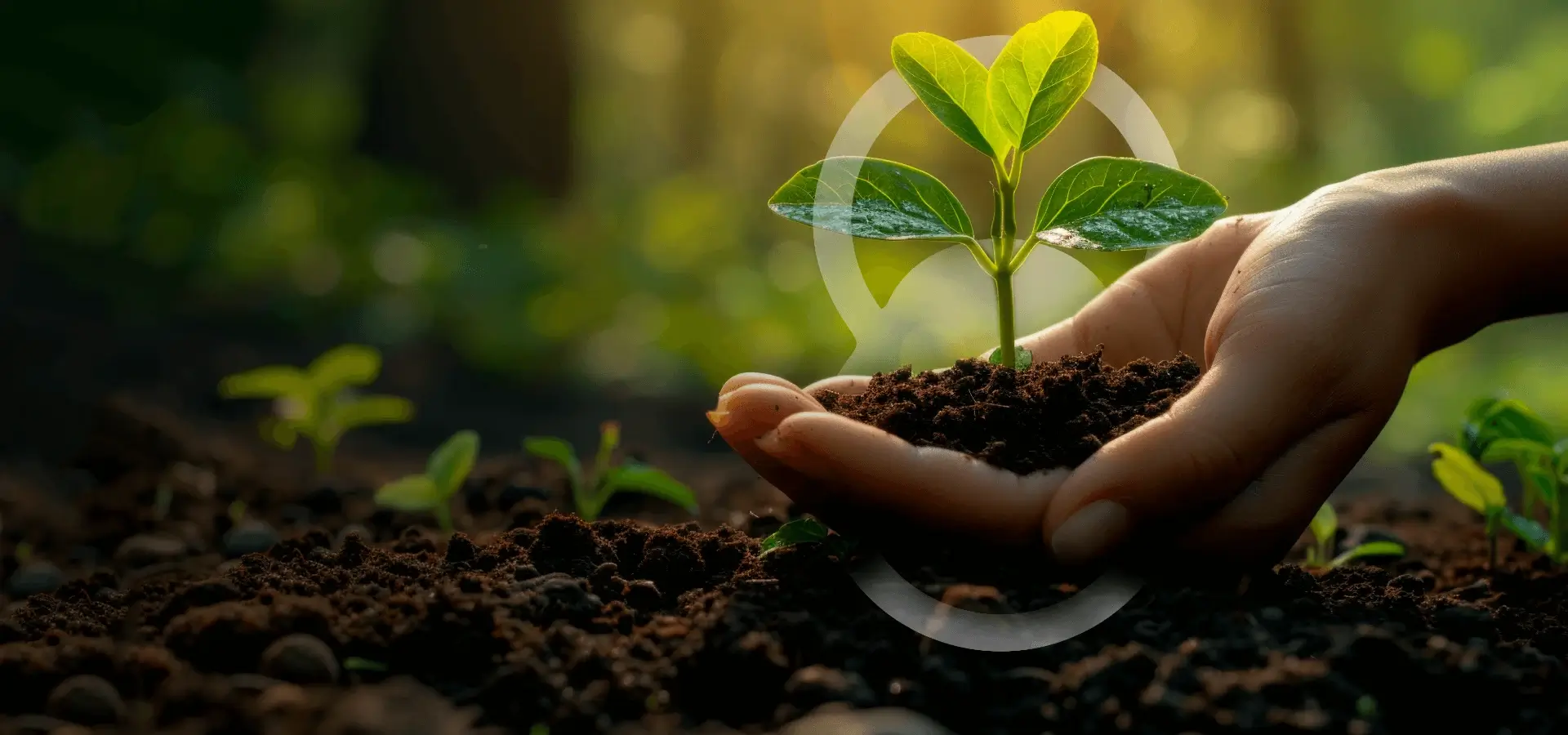 Growth That Gives Back